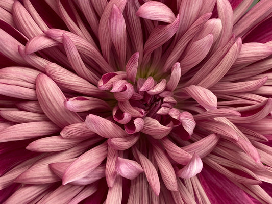 Våra icks för intimvård – tecken på att din intimvård inte är tillräckligt skonsam - VagiVital Sweden